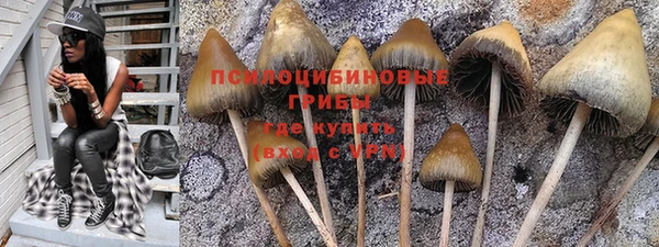 первитин Пересвет