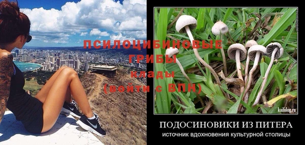 первитин Пересвет
