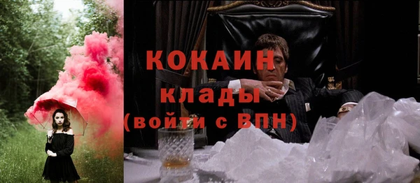 твердый Бронницы
