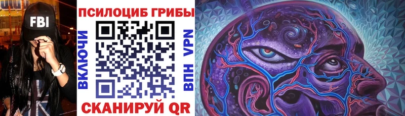 Псилоцибиновые грибы ЛСД  Купить  Алушта 